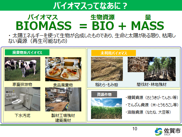 バイオマス例